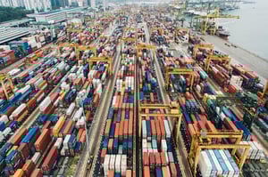 Import Liabilities