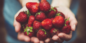 Imported strawberries